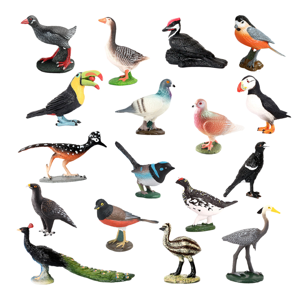 Owl Flamingo Turkey Toucan Sea - مراجعة Kids Toys Under 200 وسعره