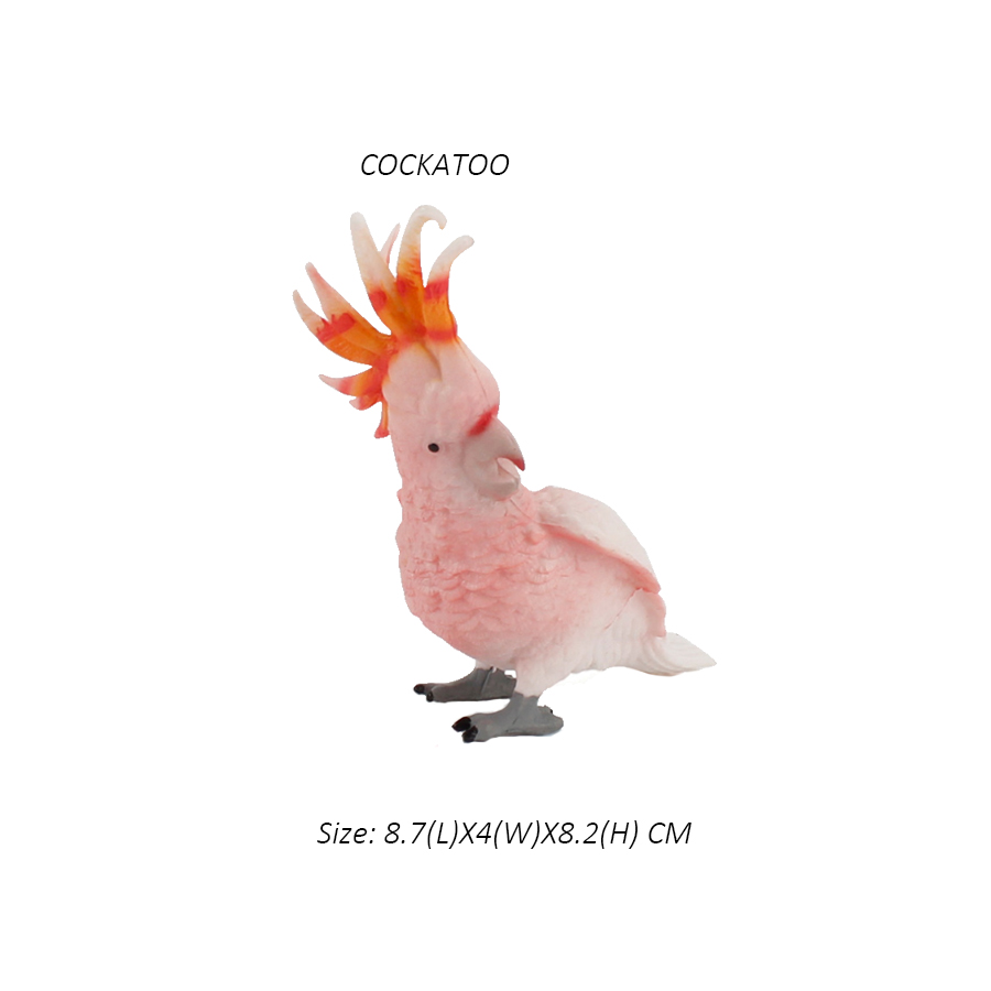 Owl Flamingo Turkey Toucan Sea - مراجعة Kids Toys Under 200 وسعره