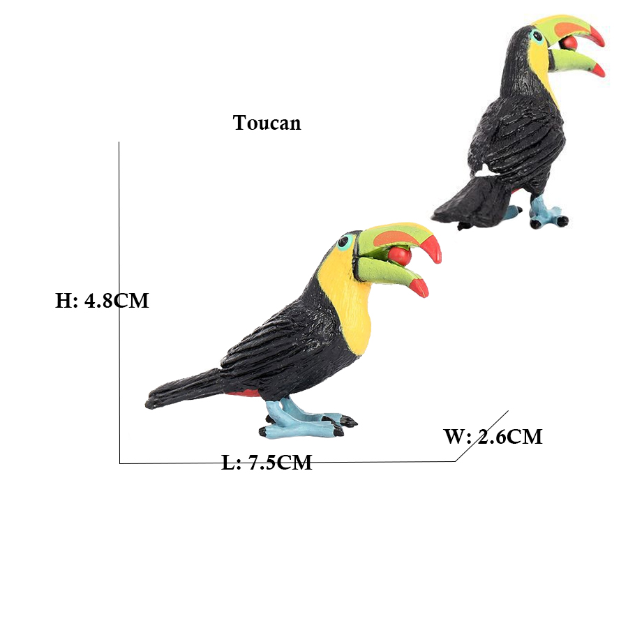 Owl Flamingo Turkey Toucan Sea - مراجعة Kids Toys Under 200 وسعره