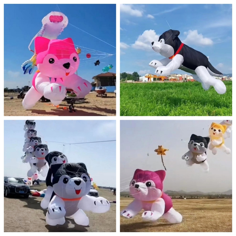 Giant kites flying inflatable  - مراجعة Kite Wind Outdoor وسعره