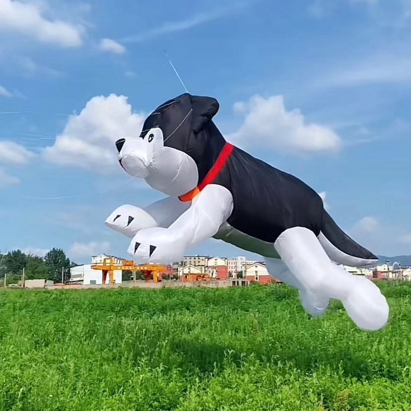 Giant kites flying inflatable  - مراجعة Kite Wind Outdoor وسعره