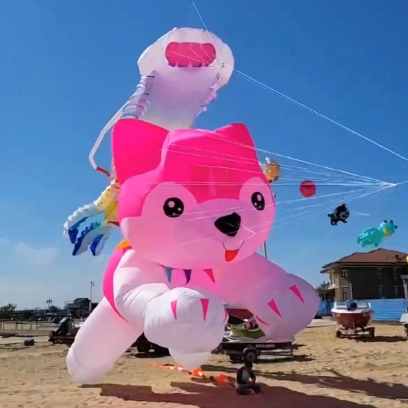 Giant kites flying inflatable  - مراجعة Kite Wind Outdoor وسعره