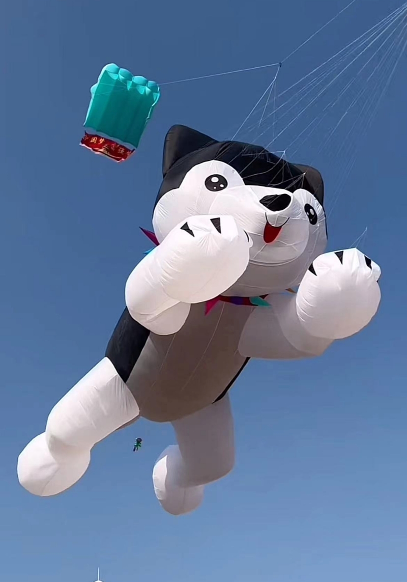 Giant kites flying inflatable  - مراجعة Kite Wind Outdoor وسعره