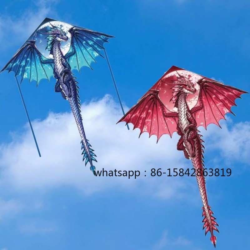 New pterosaur kites flying pro - مراجعة Kite Wind Outdoor وسعره