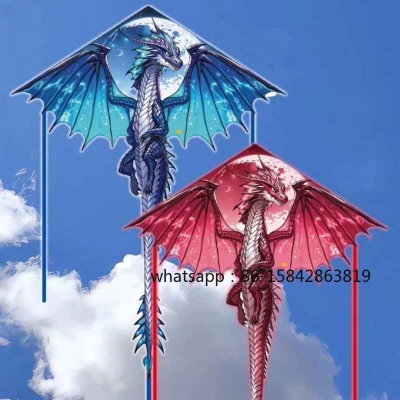 New pterosaur kites flying pro - مراجعة Kite Wind Outdoor وسعره