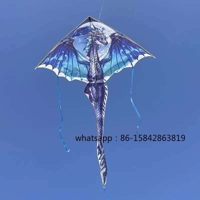 New pterosaur kites flying pro - مراجعة Kite Wind Outdoor وسعره