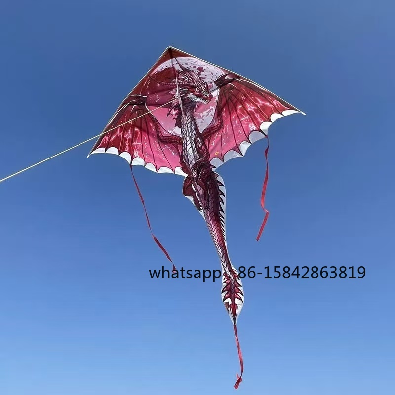 New pterosaur kites flying pro - مراجعة Kite Wind Outdoor وسعره