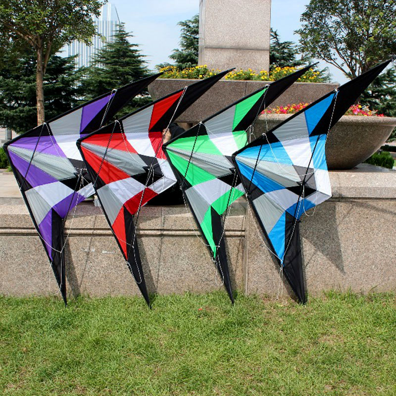 Professional outdoor Fun Sport - مراجعة Kite Wind Outdoor وسعره