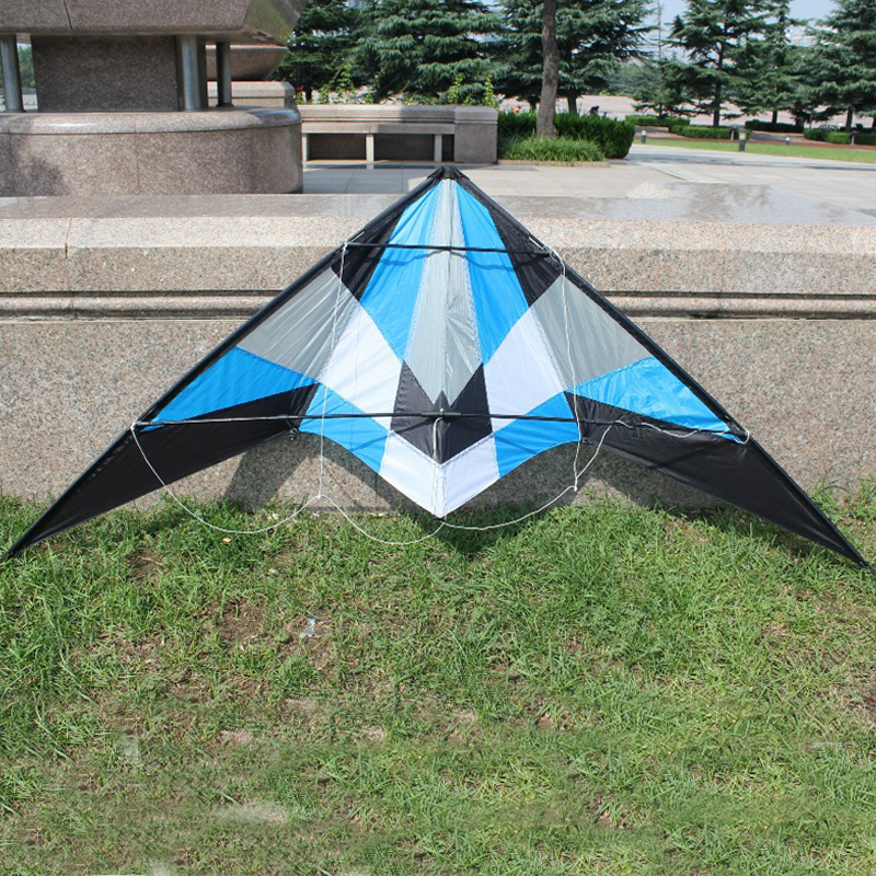 Professional outdoor Fun Sport - مراجعة Kite Wind Outdoor وسعره
