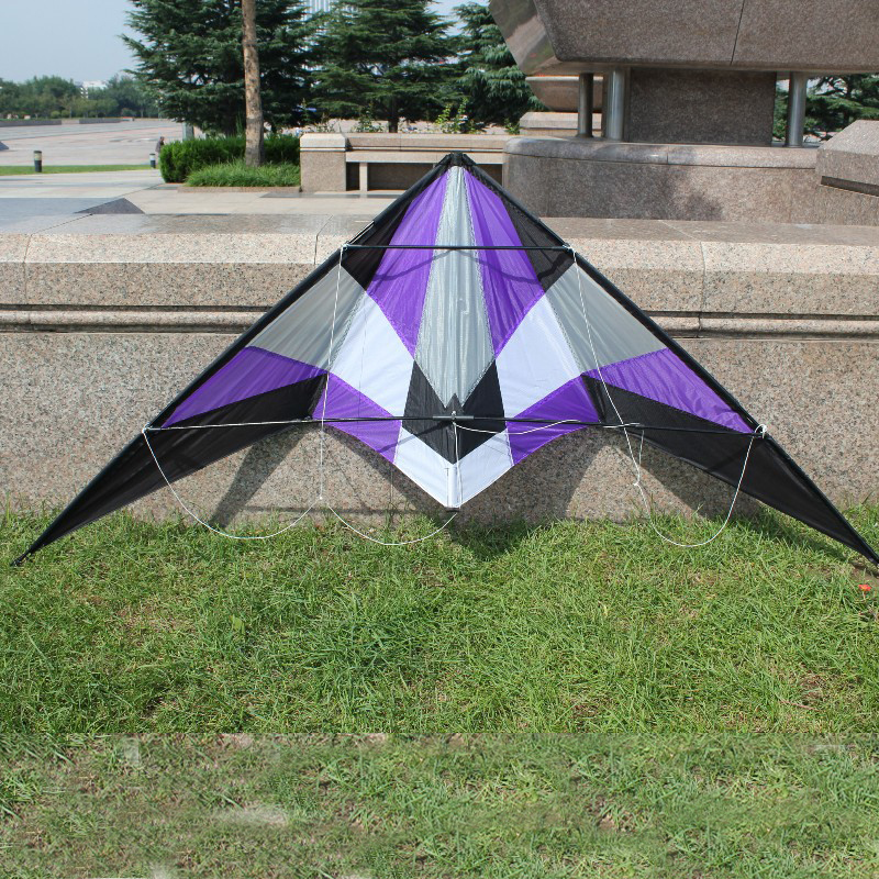 Professional outdoor Fun Sport - مراجعة Kite Wind Outdoor وسعره
