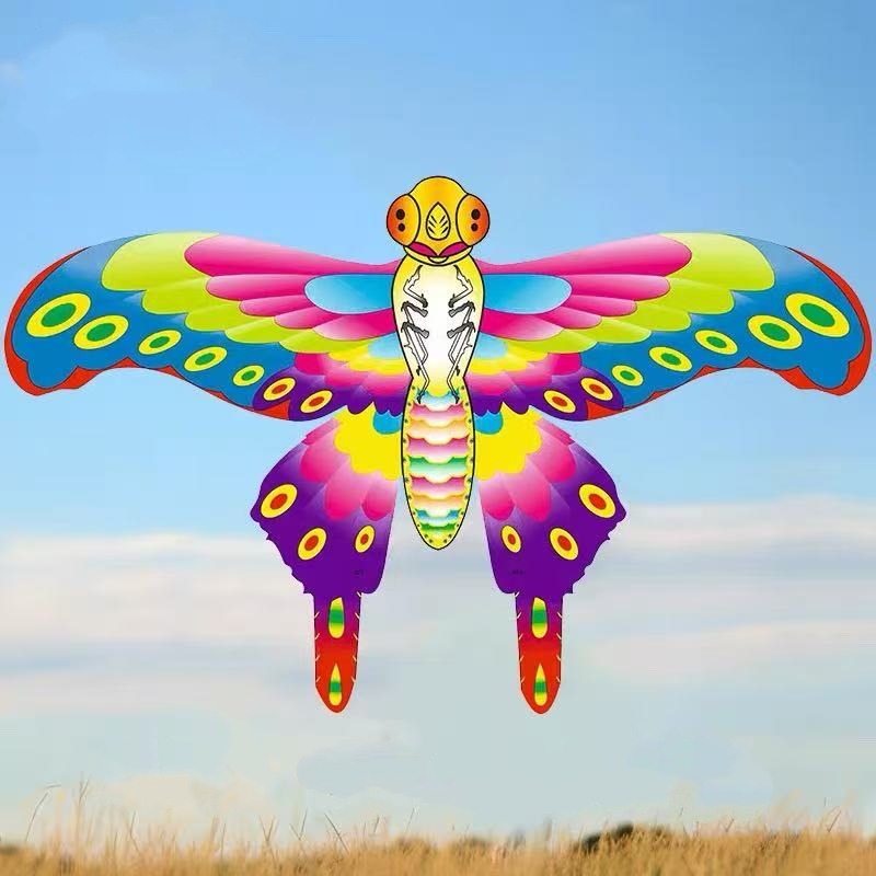 Pocket kite flying fishing lin - مراجعة Kite Wind Outdoor وسعره