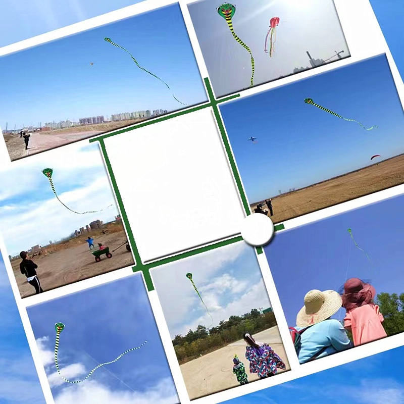 15m Large snake kites for chil - مراجعة Kite Wind Outdoor وسعره