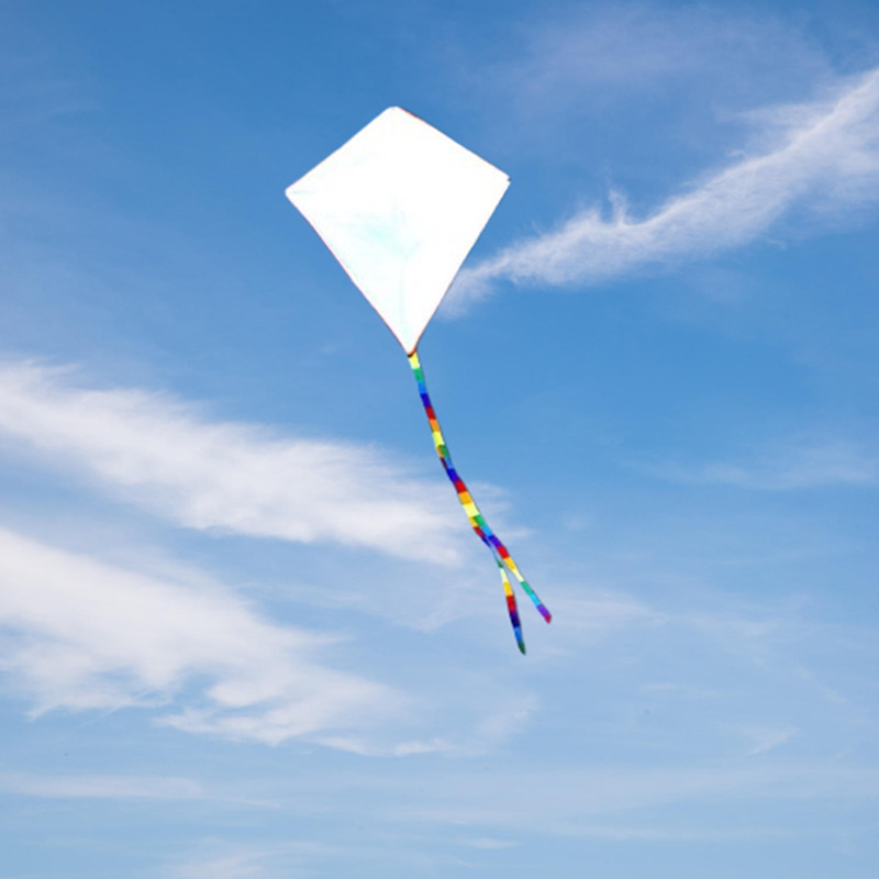 Diy kite nylon fabric Children - مراجعة Kite Wind Outdoor وسعره