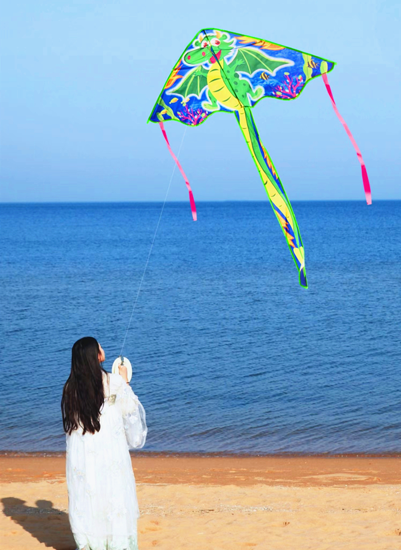 New horse kite flying children - مراجعة Kite Wind Outdoor وسعره