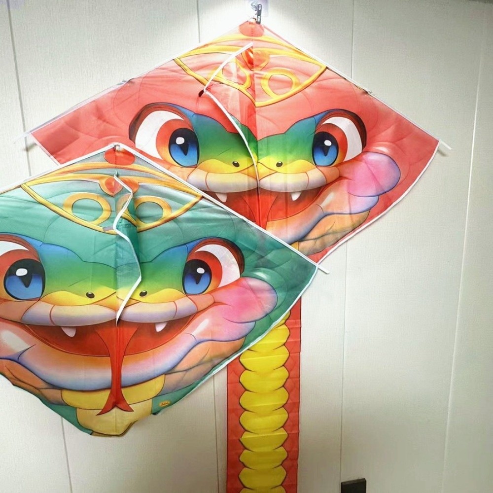 Easy to Fly 4.75M Snake Kite L - مراجعة Kite Wind Outdoor وسعره