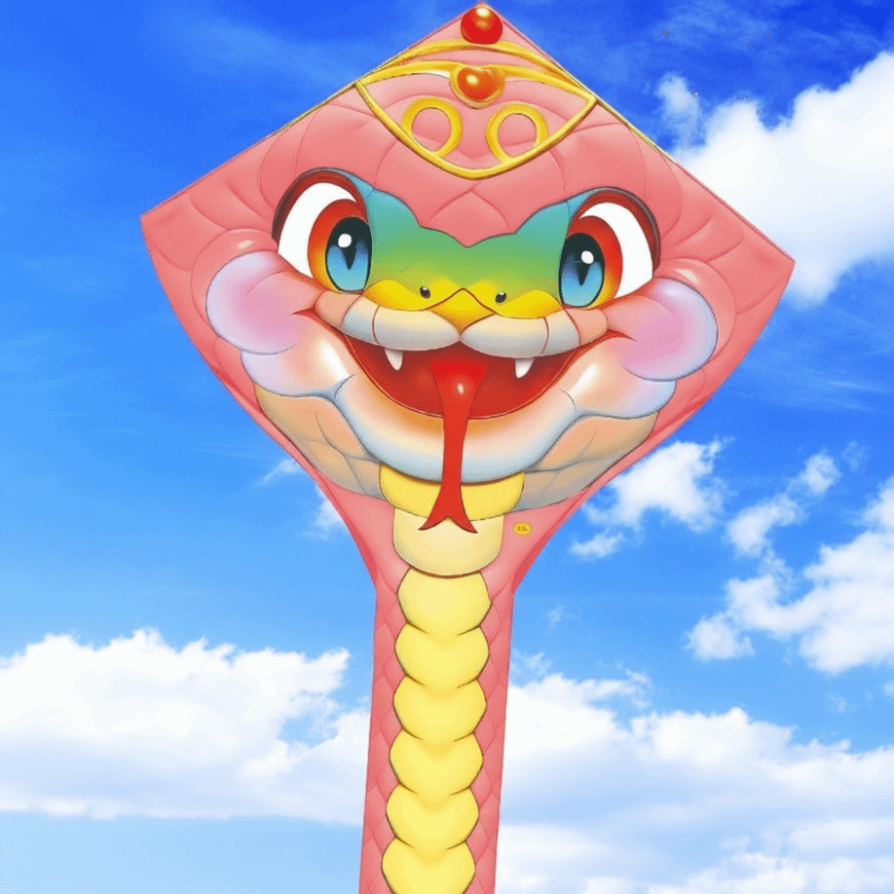 Easy to Fly 4.75M Snake Kite L - مراجعة Kite Wind Outdoor وسعره