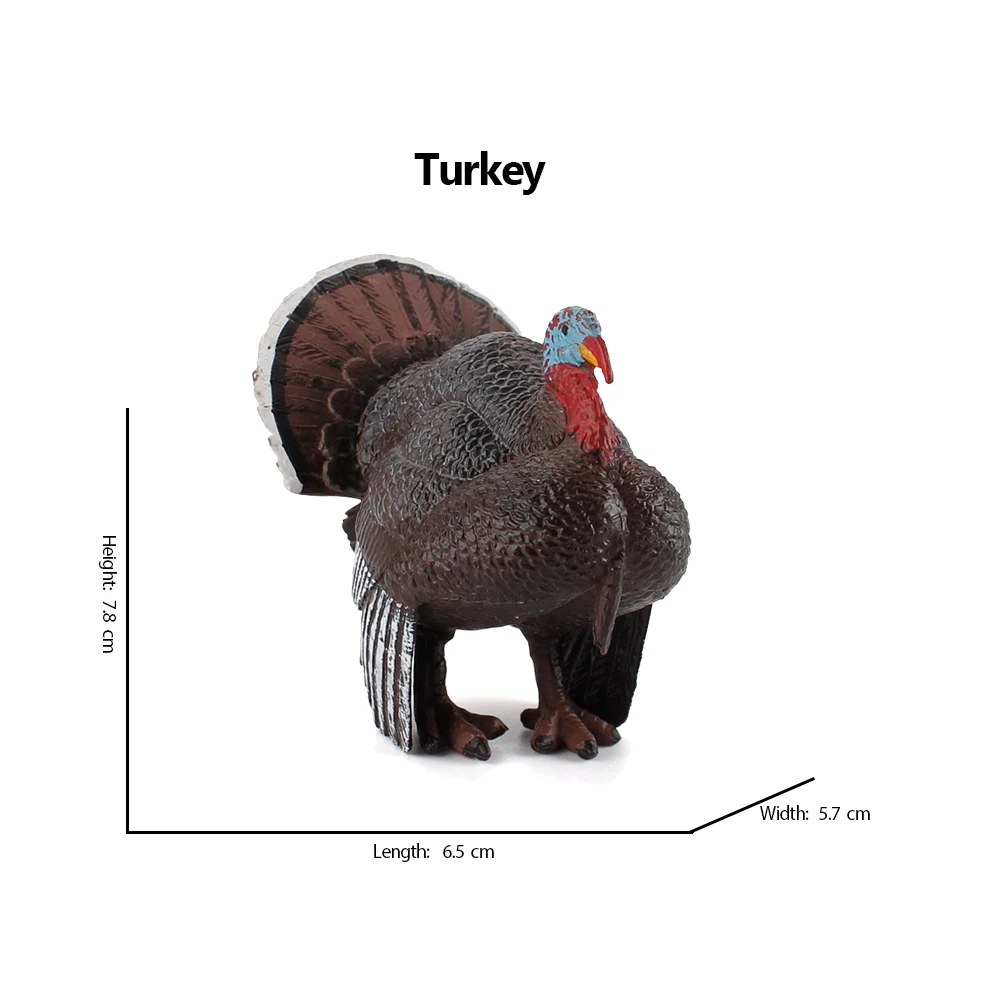 Kiwi Bird Jungle Animals Figur - مراجعة Kids Toys Under 200 وسعره