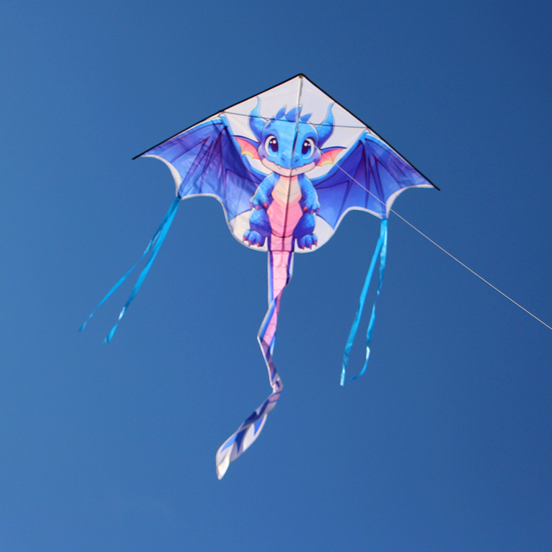 Dragon Kites flying for adults - مراجعة Kite Wind Outdoor وسعره