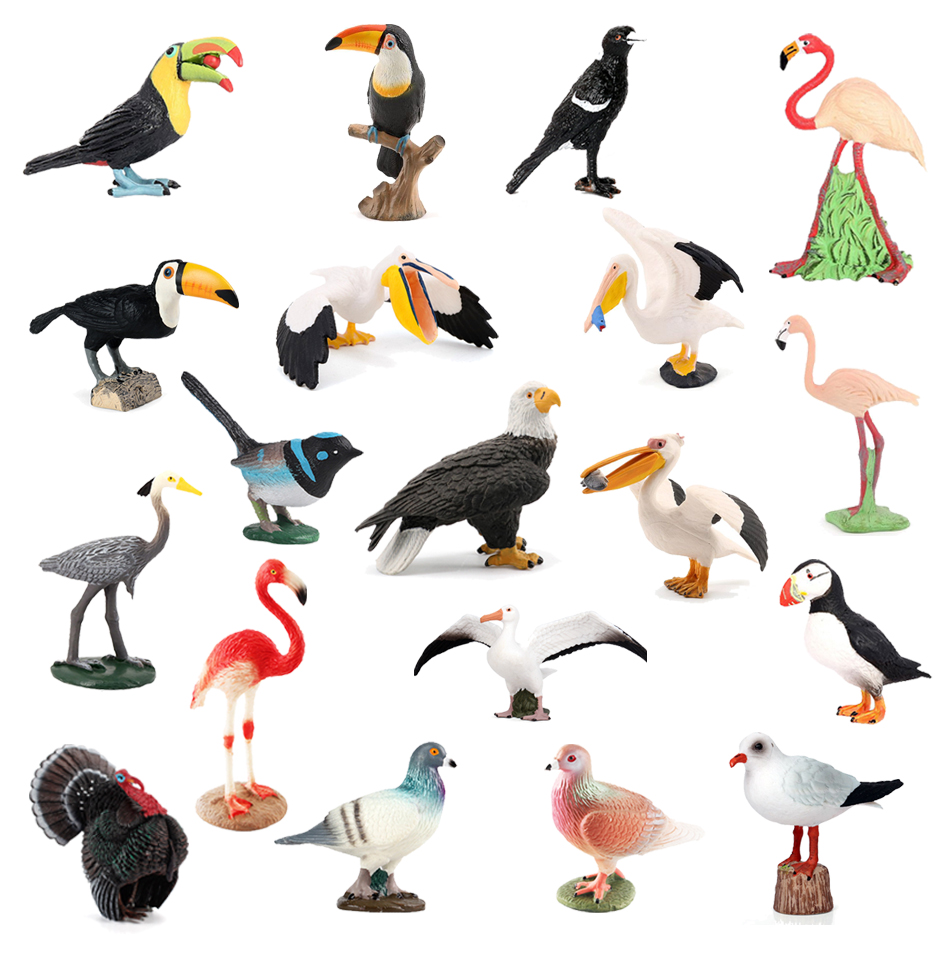 Bald Eagle pelican Tucan Turke - مراجعة Kids Toys Under 200 وسعره