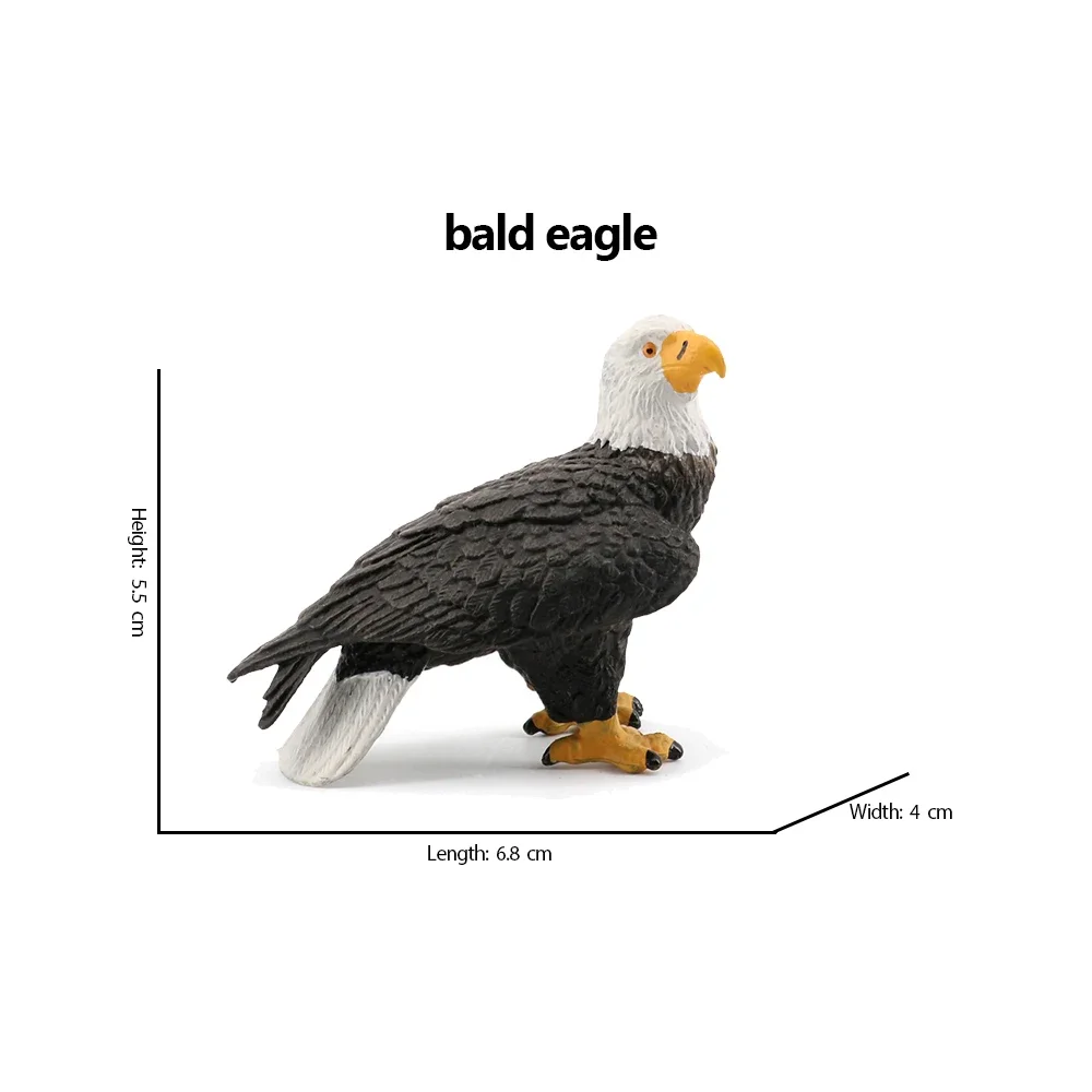 Bald Eagle pelican Tucan Turke - مراجعة Kids Toys Under 200 وسعره