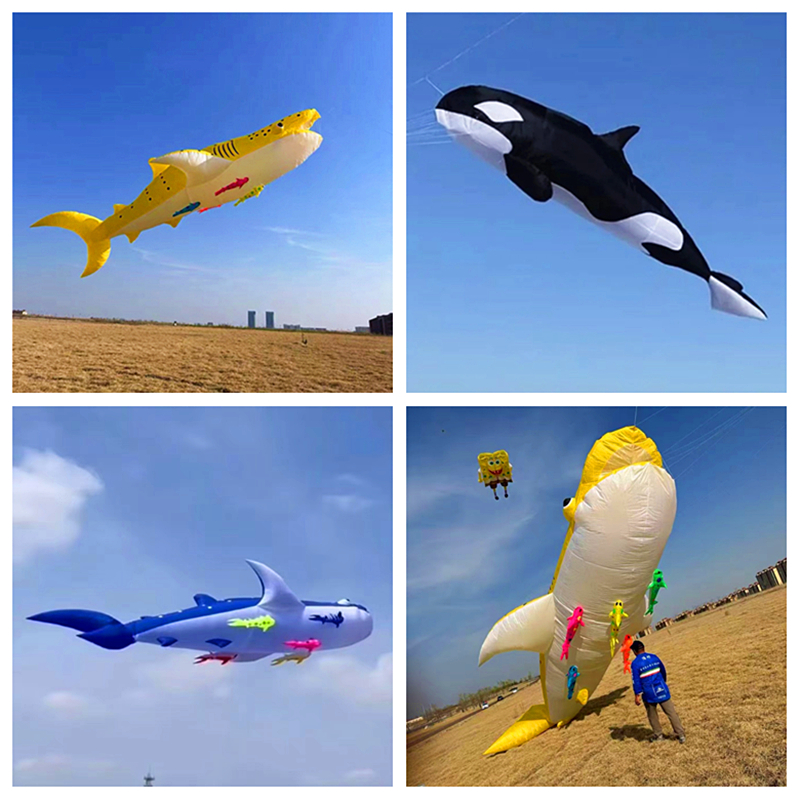 10m killer whale multi-color f - مراجعة Kite Wind Outdoor وسعره
