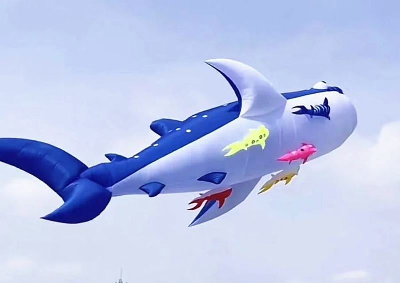 10m killer whale multi-color f - مراجعة Kite Wind Outdoor وسعره