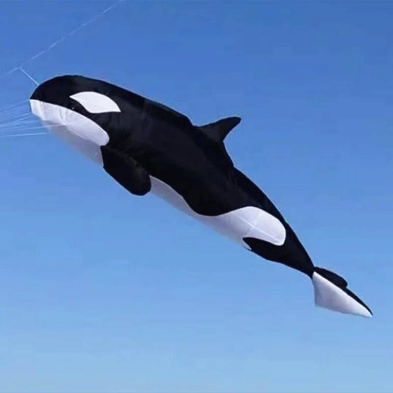 10m killer whale multi-color f - مراجعة Kite Wind Outdoor وسعره
