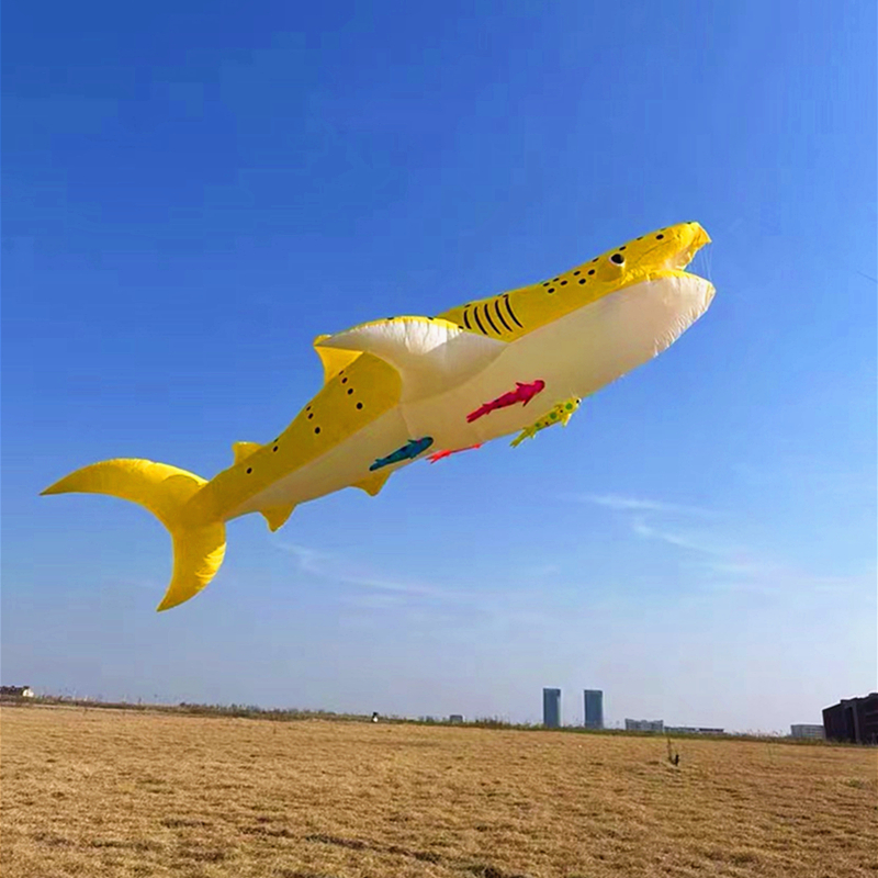 10m killer whale multi-color f - مراجعة Kite Wind Outdoor وسعره